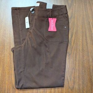 Lane Bryant Venezia Chocolate Brown Stretch Jeans